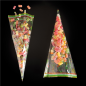 Image TRIANGLE FRIANDISES  47 G/M2 25µ 20x39,5 CM TRANSPARENT PP (100 UNITÉ) #2