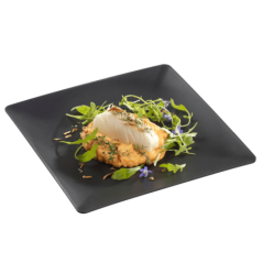 Assiette Fluid' PP noir 250 x250 mm