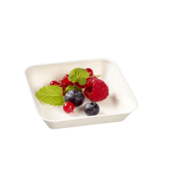 Assiette Kanopée pulpe de canne 100x100 mm