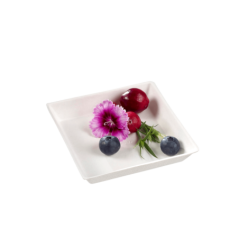 Assiette Quartz pulpe de canne 90x90 mm