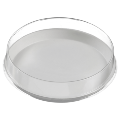 Assiette ronde Ninfea pulpe de canne Ø 200 mm