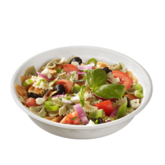 Assiette ronde pulpe de canne 1090 ml