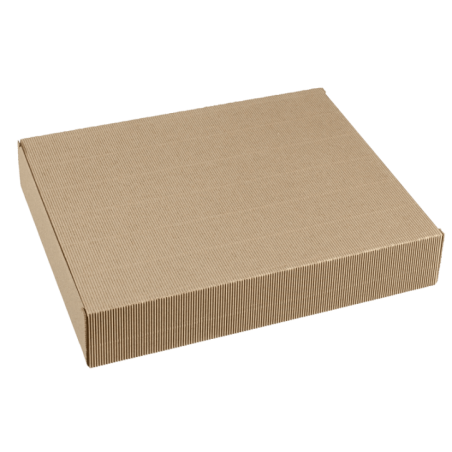 Kit plateau-repas Polaris vaisselle Quartz blanche laminée + couvercle