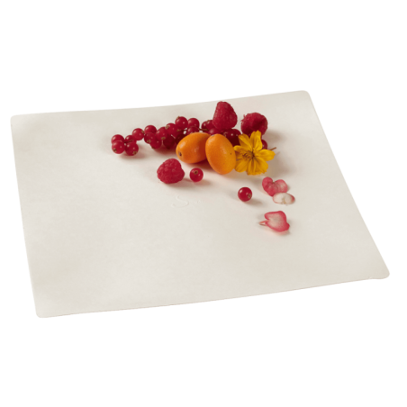 Plateau Imagine 250x250 mm