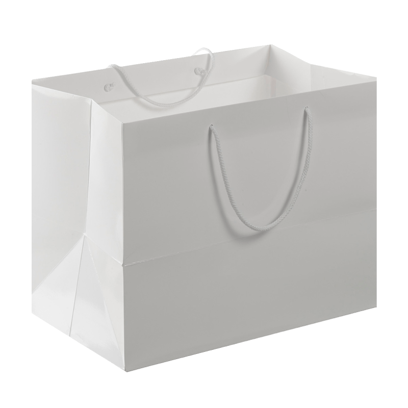 Sac en papier verni Sac en papier verni