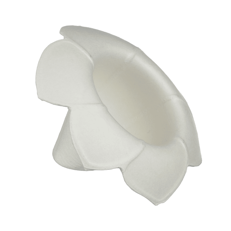 Verrine Ipomée inclinée pulpe de canne 20 ml Verrine Ipomée inclinée pulpe de canne 20 ml