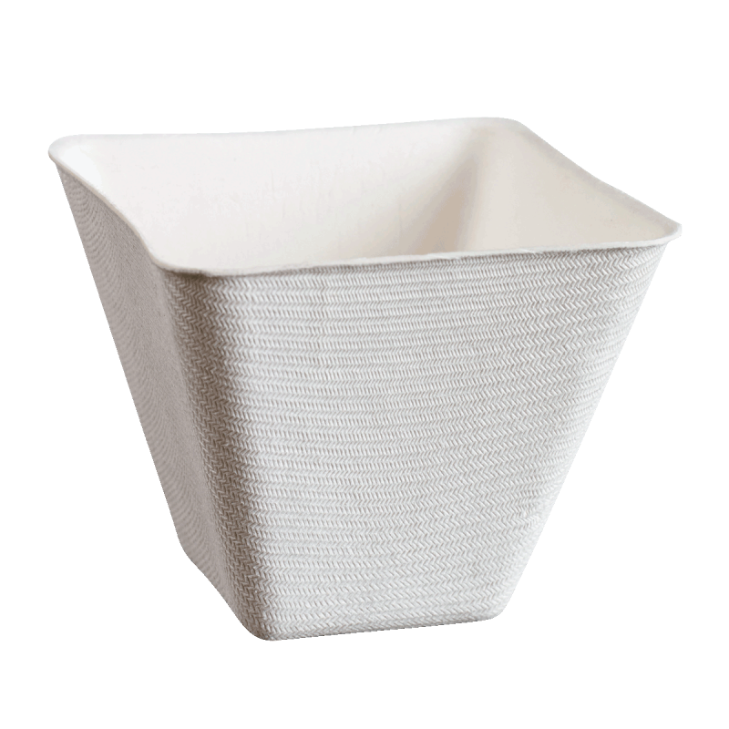 Verrine Emeraud' pulpe de canne avec lamination 220 ml Verrine Emeraud' pulpe de canne avec lamination 220 ml