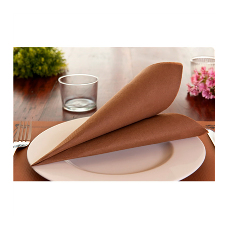 SERVIETTES ECOLABEL 'DOUBLE POINT' 18 G/M2 39x39 CM HAVANE OUATE (1200 UNITÉ)