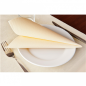 Image SERVIETTES  55 G/M2 40x40 CM IVOIRE AIRLAID (700 UNITÉ) #3