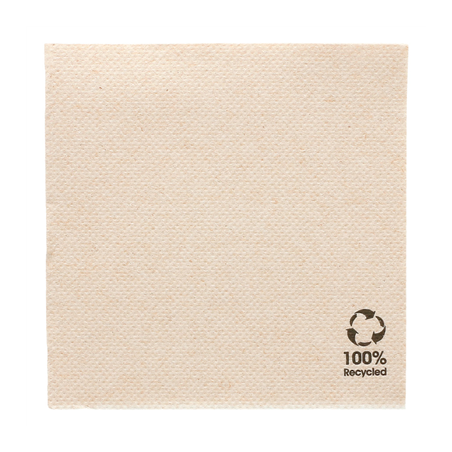 Image SERVIETTES ECOLABEL 'DOUBLE POINT' 19 G/M2 20x20 CM NATUREL OUATE RECYCLÉE (2400 UNITÉ) #1