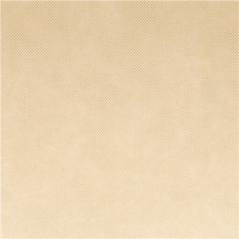 NAPPE 'SPUNBOND' 60 G/M2 1,20x50 M CREME PP (1 UNITÉ)