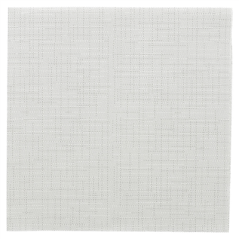 Image SERVIETTES 'DRY COTTON' 55 G/M2 40x40 CM GRIS AIRLAID (700 UNITÉ) #1