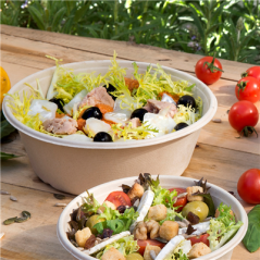 Image BOLS 'BIONIC' 900 ML Ø 19,5x6,5 CM NATUREL BAGASSE (200 UNITÉ) #5