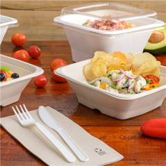 Image COUTEAUX  18 CM BLANC CPLA (1000 UNITÉ) #4