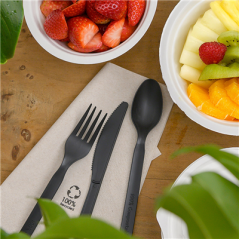 Image CUILLÈRES  16 CM NOIR CPLA (1000 UNITÉ) #4