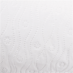 Image 2 U. ROULEAUX CUISINE 2 PLIS 'FEEL GREEN' 24,5 G/M2 24,5 CM x 30 M BLANC PAPIER RECYCLÉ (1 UNITÉ) #3