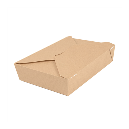 Image BOÎTES AMÉRICAINES MICRO-ONDABLES 'THEPACK' 1470 ML 220 + 12PP G/M2 19,6x14x4,5 CM NATUREL CARTON ONDULÉ NANO-MICRO (300 U