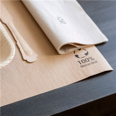SETS DE TABLE - RECYCLÉS 80 G/M2 31x43 CM NATUREL PAPIER (1000 UNITÉ)