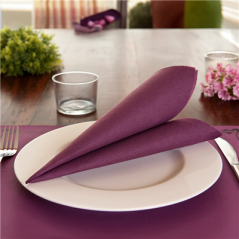 Image SERVIETTES ECOLABEL 'DOUBLE POINT' 18 G/M2 39x39 CM PRUNE OUATE (1200 UNITÉ) #3