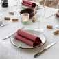 Image SERVIETTES ECOLABEL 'DOUBLE POINT' 18 G/M2 39x39 CM BORDEAUX OUATE (1200 UNITÉ) #3