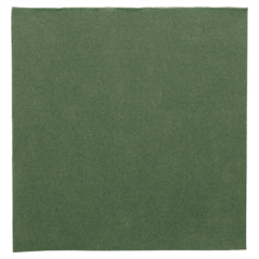 Image SERVIETTES ECOLABEL 'DOUBLE POINT' 18 G/M2 39x39 CM VERT JAGUAR OUATE (1200 UNITÉ) #1