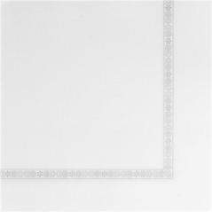 Image SERV. ECOLABEL AVEC LISERÉ "PLUS" 'DOUBLE POINT' 18 G/M2 39x39 CM BLANC OUATE (1200 UNITÉ) #1