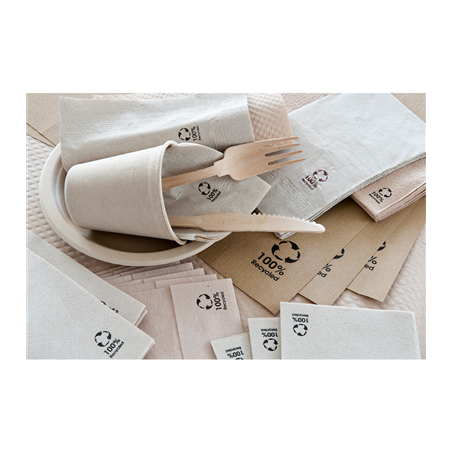 SERVIETTES ECOLABEL 1 PLI 'MASTER SERVIS' 23 G/M2 33x33 CM NATUREL OUATE RECYCLÉE (4800 UNITÉ)