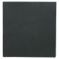 Image SERVIETTES ECOLABEL 'DOUBLE POINT' 18 G/M2 33x33 CM NOIR OUATE (1200 UNITÉ) #1