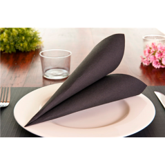 SERVIETTES ECOLABEL 'DOUBLE POINT' 18 G/M2 39x39 CM NOIR OUATE (1200 UNITÉ)