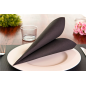 Image SERVIETTES ECOLABEL 'DOUBLE POINT' 18 G/M2 39x39 CM NOIR OUATE (1200 UNITÉ) #2