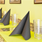 Image SERVIETTES ECOLABEL 'DOUBLE POINT' 18 G/M2 39x39 CM NOIR OUATE (1200 UNITÉ) #4