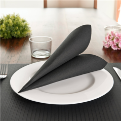 Image SERVIETTES ECOLABEL 'DOUBLE POINT' 18 G/M2 39x39 CM NOIR OUATE (1200 UNITÉ) #7