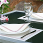 Image SERVIETTES "GRECQUE"  45 G/M2 40x40 CM BLANC AIRLAID (700 UNITÉ) #2