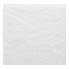 Image SERVIETTES ECOLABEL 2 PLIS 18 G/M2 30x30 CM BLANC OUATE (2400 UNITÉ) #1