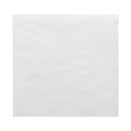 Image SERVIETTES ECOLABEL 2 PLIS  18 G/M2 30x30 CM BLANC OUATE (2400 UNITÉ) #1