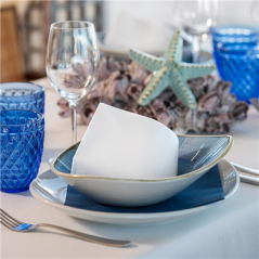 SERVIETTES  45 G/M2 40x40 CM BLANC AIRLAID (700 UNITÉ)