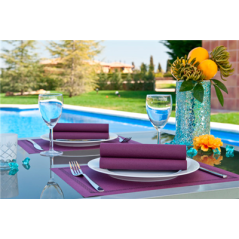 SERVIETTES  55 G/M2 40x40 CM PRUNE AIRLAID (700 UNITÉ)