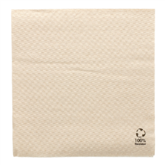 Image SERVIETTES ECOLABEL 1 PLI  23 G/M2 33x33 CM NATUREL OUATE RECYCLÉE (3000 UNITÉ) #1
