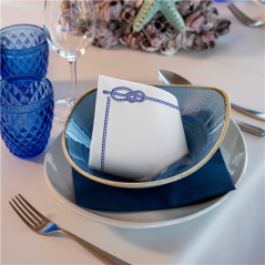 Image SERVIETTES "SETE"  45 G/M2 40x40 CM BLANC AIRLAID (700 UNITÉ) #3