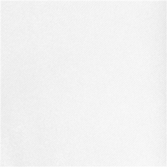 NAPPE EN ROULEAU 55 G/M2 1,20x50 M BLANC AIRLAID (1 UNITÉ)