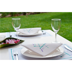 SETS DE TABLE 'VOLARE' 48 G/M2 31x43 CM BLANC CELLULOSE (2000 UNITÉ)