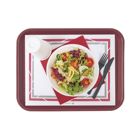 SETS DE TABLE POUR PLATEAUX 'SELF-SERVICE' 48 G/M2 25x31 CM BLANC PAPIER (2000 UNITÉ)