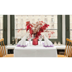 Image NAPPE EN ROULEAU 'ANETO' 48 G/M2 1,20x100 M BLANC CELLULOSE (4 UNITÉ) #4