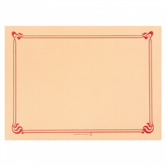Image SETS DE TABLE 48 G/M2 31x43 CM IVOIRE CELLULOSE (2000 UNITÉ) #1