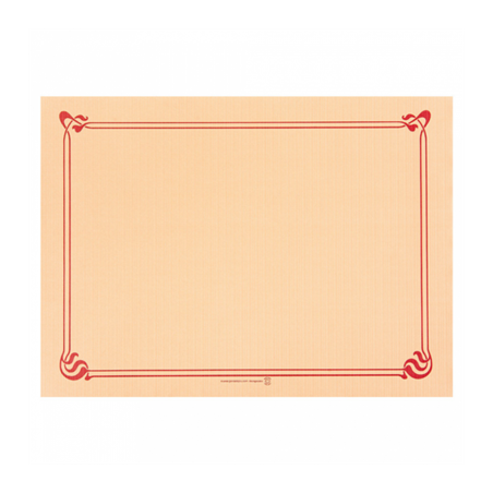 Image SETS DE TABLE  48 G/M2 31x43 CM IVOIRE CELLULOSE (2000 UNITÉ) #1