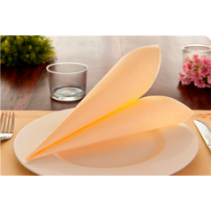 SETS DE TABLE 48 G/M2 31x43 CM IVOIRE CELLULOSE (2000 UNITÉ)