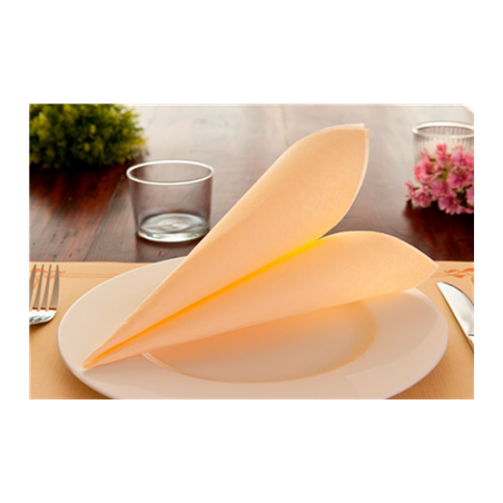 SETS DE TABLE  48 G/M2 31x43 CM IVOIRE CELLULOSE (2000 UNITÉ)