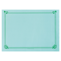 Image SETS DE TABLE 48 G/M2 31x43 CM VERT D'EAU CELLULOSE (2000 UNITÉ) #1