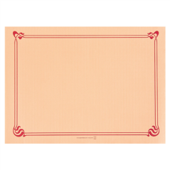 Image SETS DE TABLE 48 G/M2 31x43 CM SAUMON CELLULOSE (2000 UNITÉ) #1