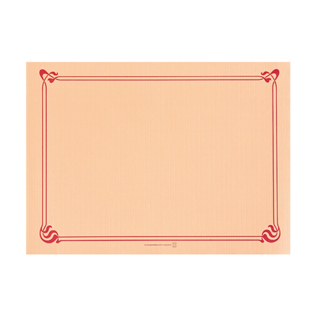 Image SETS DE TABLE  48 G/M2 31x43 CM SAUMON CELLULOSE (2000 UNITÉ) #1